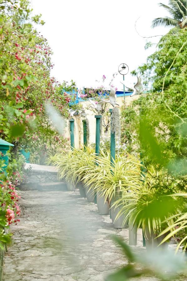 Merlyn Villa ネゴンボ エクステリア 写真